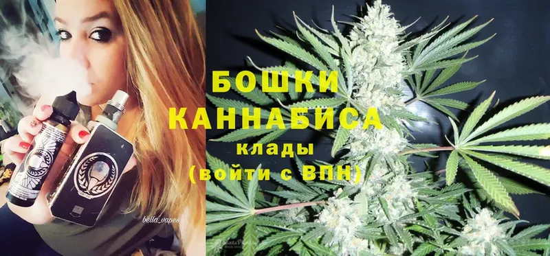 MEGA как зайти  Грязовец  Бошки марихуана SATIVA & INDICA  купить наркотики цена 